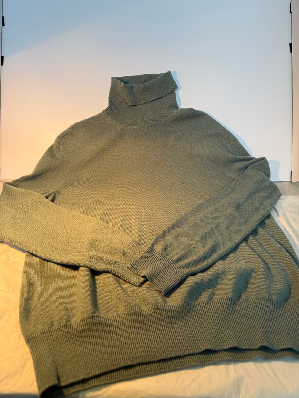 Loro Piana- Baby Cashmere Sz 48 Sage Green Turtleneck NWOT